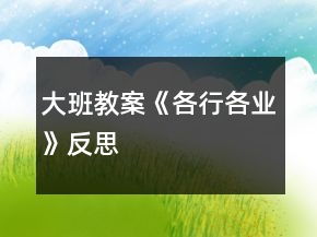 大班教案《各行各業(yè)》反思
