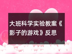 大班科學(xué)實(shí)驗(yàn)教案《影子的游戲》反思