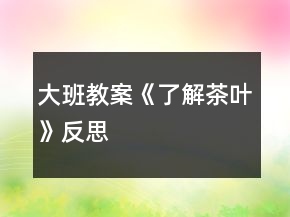 大班教案《了解茶葉》反思