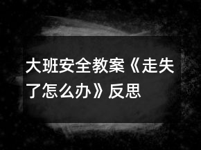 大班安全教案《走失了怎么辦》反思