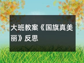大班教案《國旗真美麗》反思