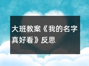 大班教案《我的名字真好看》反思