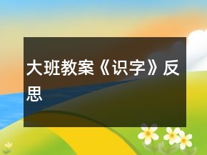 大班教案《識字》反思