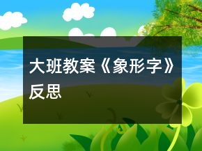 大班教案《象形字》反思