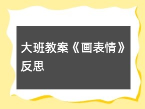 大班教案《畫表情》反思