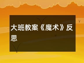 大班教案《魔術(shù)》反思