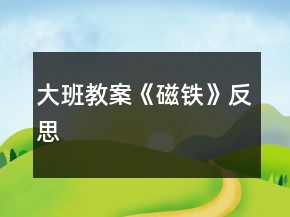 大班教案《磁鐵》反思