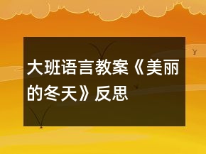 大班語(yǔ)言教案《美麗的冬天》反思