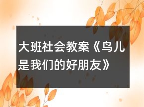 大班社會教案《鳥兒是我們的好朋友》反思