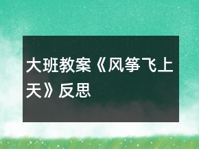 大班教案《風(fēng)箏飛上天》反思
