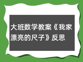 大班數(shù)學(xué)教案《我家漂亮的尺子》反思