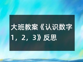 大班教案《認(rèn)識數(shù)字1，2，3》反思