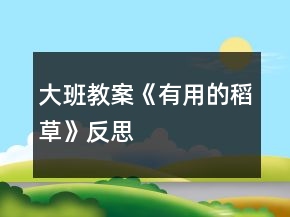 大班教案《有用的稻草》反思