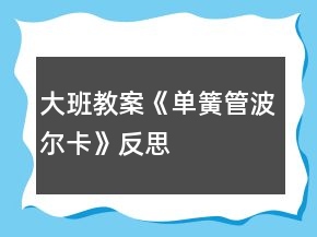 大班教案《單簧管波爾卡》反思