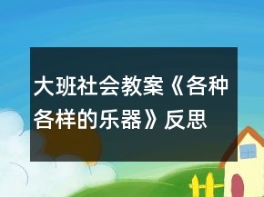 大班社會教案《各種各樣的樂器》反思