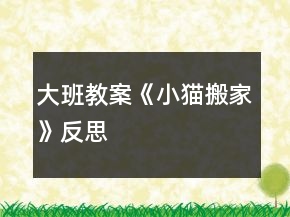 大班教案《小貓搬家》反思