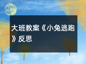 大班教案《小兔逃跑》反思