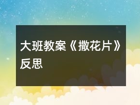 大班教案《撒花片》反思