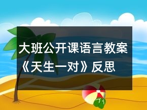 大班公開課語言教案《天生一對》反思
