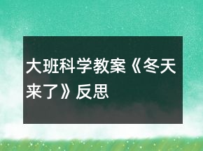 大班科學(xué)教案《冬天來了》反思