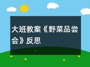 大班教案《野菜品嘗會(huì)》反思