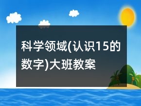 科學領域(認識1——5的數(shù)字)大班教案