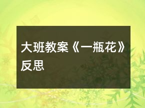 大班教案《一瓶花》反思