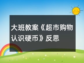大班教案《超市購物認(rèn)識(shí)硬幣》反思