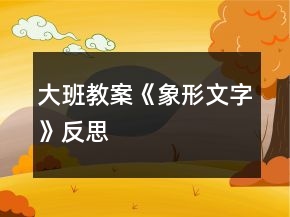 大班教案《象形文字》反思