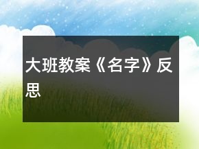 大班教案《名字》反思