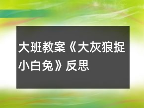 大班教案《大灰狼捉小白兔》反思