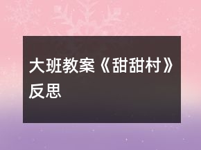 大班教案《甜甜村》反思