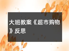 大班教案《超市購物》反思
