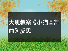 大班教案《小貓圓舞曲》反思