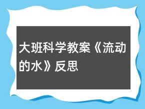 大班科學(xué)教案《流動(dòng)的水》反思