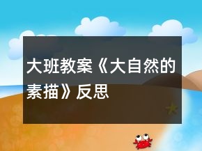 大班教案《大自然的素描》反思