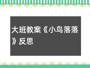 大班教案《小鳥落落》反思