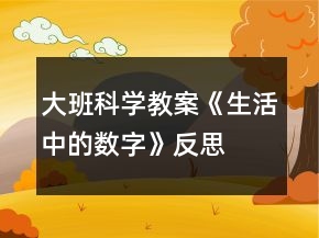 大班科學(xué)教案《生活中的數(shù)字》反思