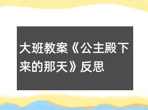 大班教案《公主殿下來的那天》反思