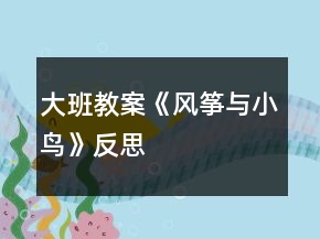 大班教案《風(fēng)箏與小鳥》反思