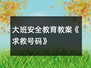 大班安全教育教案《求救號碼》