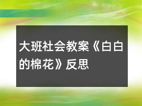 大班社會(huì)教案《白白的棉花》反思