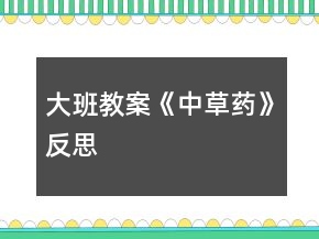 大班教案《中草藥》反思