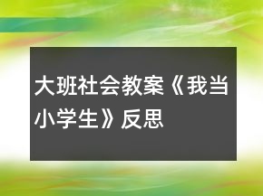 大班社會教案《我當小學生》反思