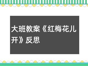大班教案《紅梅花兒開》反思