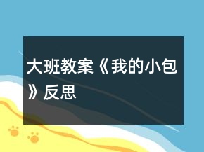 大班教案《我的小包》反思