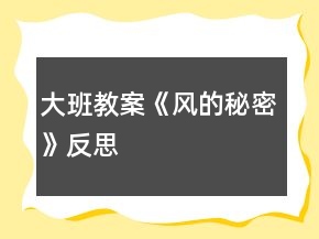 大班教案《風(fēng)的秘密》反思