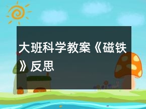 大班科學(xué)教案《磁鐵》反思
