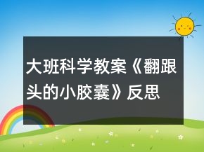 大班科學(xué)教案《翻跟頭的小膠囊》反思