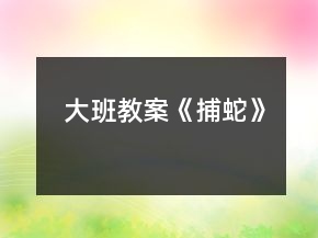大班教案《捕蛇》